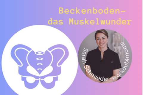 Beckenboden- das Muskelwunder